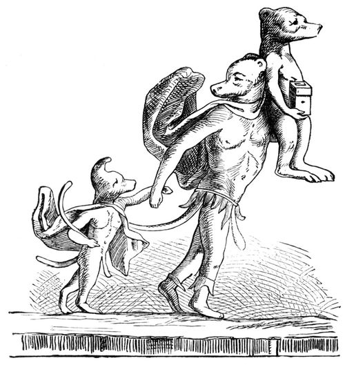 Fig 9