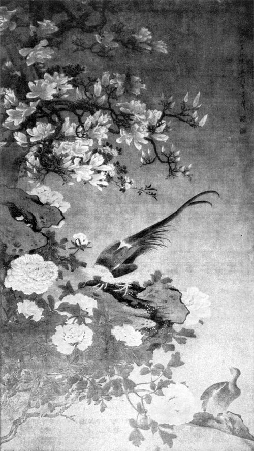 Plate XXIV