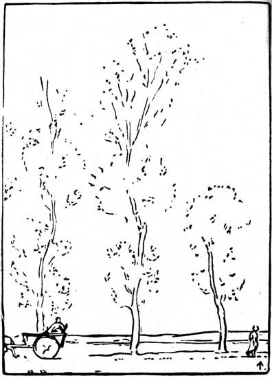 Plate IX